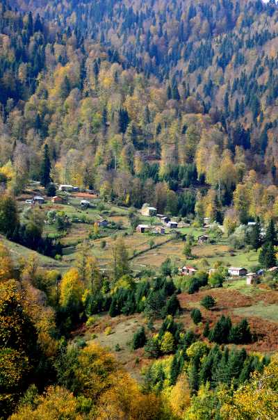 Odayeri Yaylası